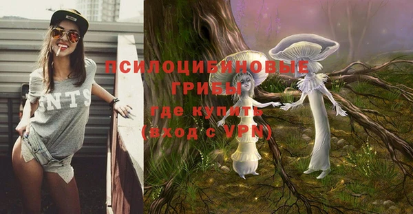 a pvp Елизово